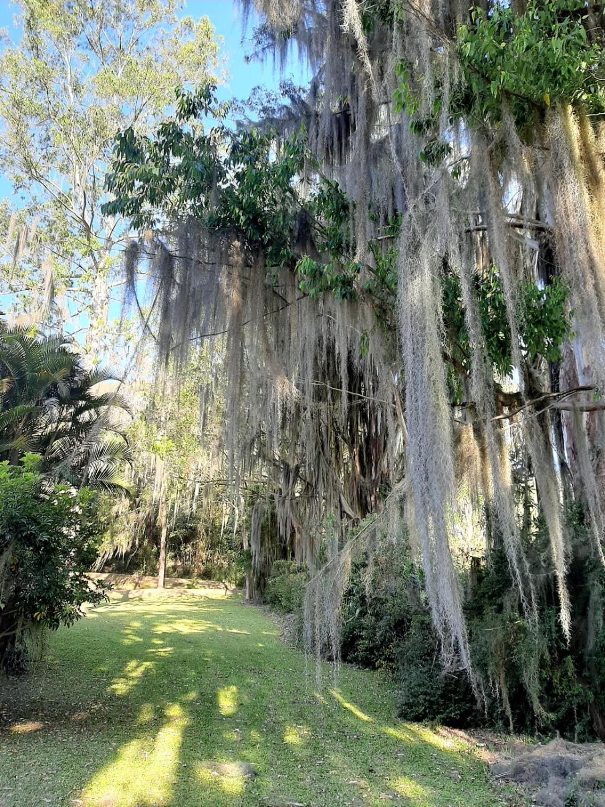 Sitio Riacho Das Pedras Teresópolis Exterior foto